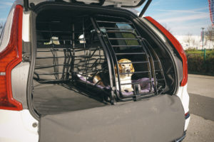 Volvo XC90 La Linea Hundebox Hund Dog