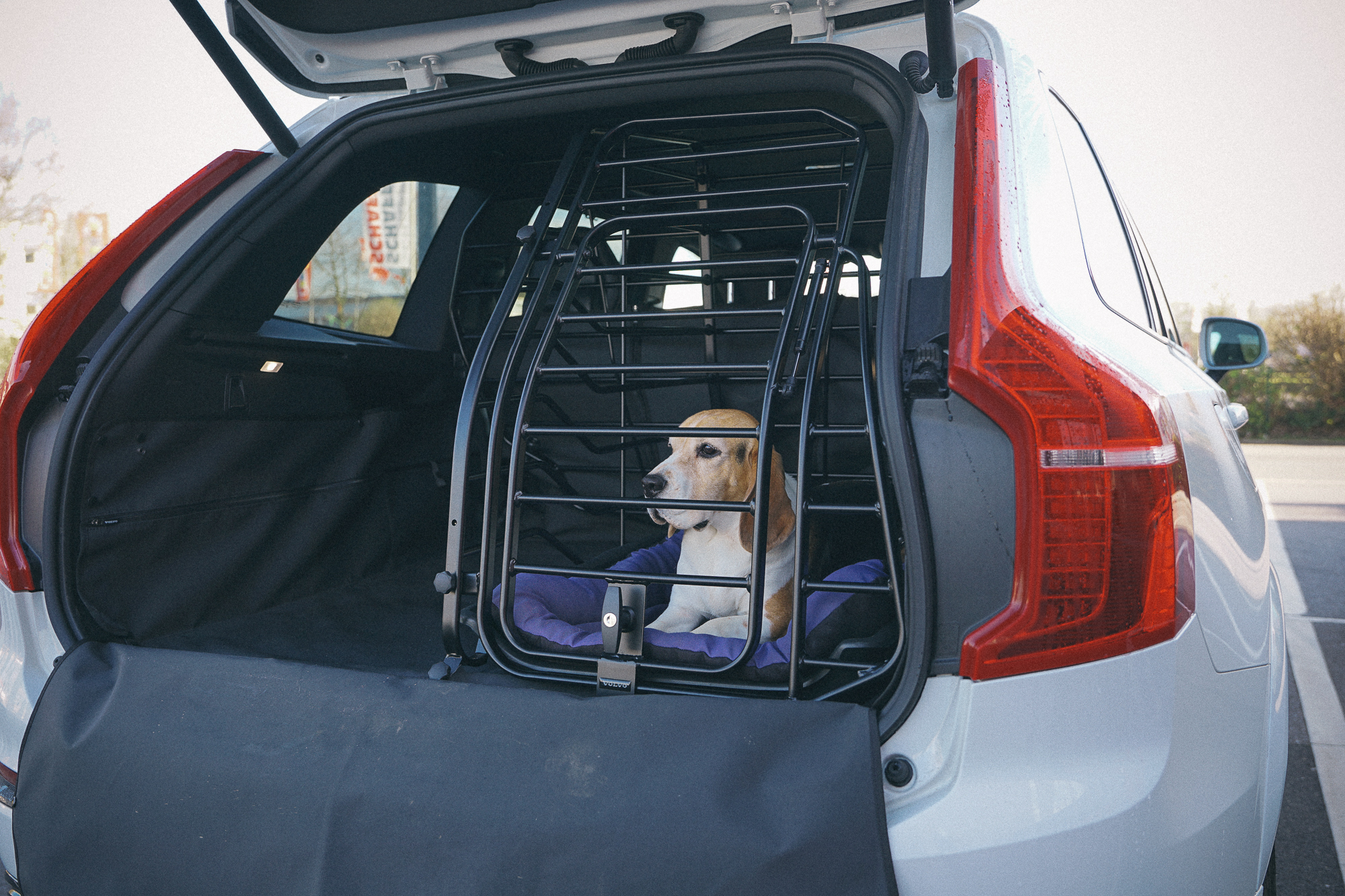 Test: Volvo XC90 - Wir haben die originale Hundebox einbauen