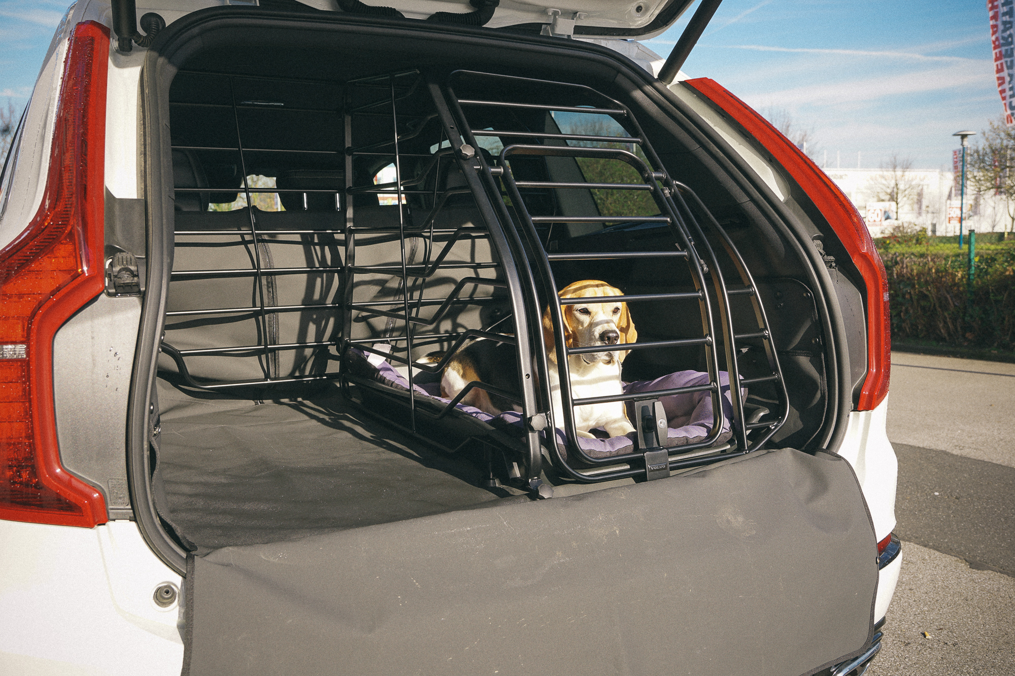 Test: Volvo XC90 - Wir haben die originale Hundebox einbauen lassen